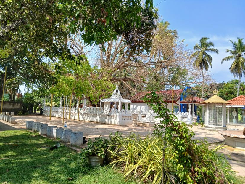 TEMPLE OF THE BUDDHA4